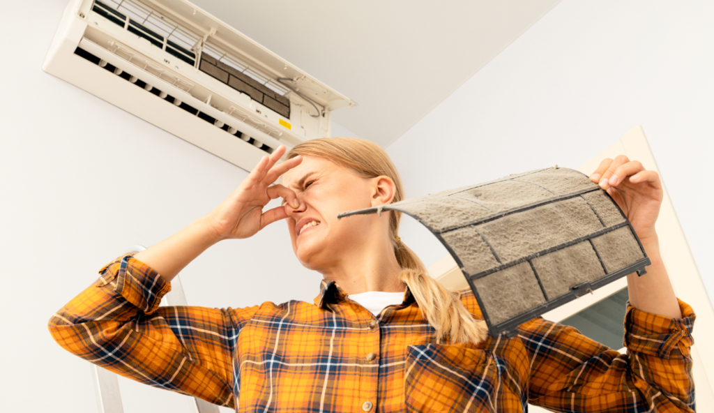 Risks Associated with Mold in Air Conditioners