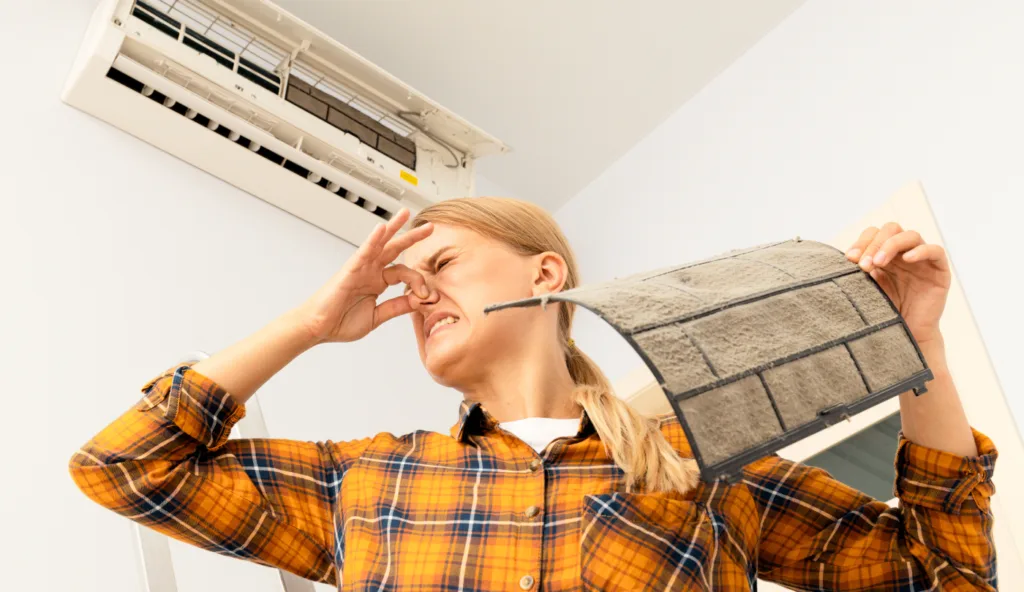 Mold in Air Conditioners: Causes, Risks, and Prevention 2 Risks Associated with Mold in Air Conditioners