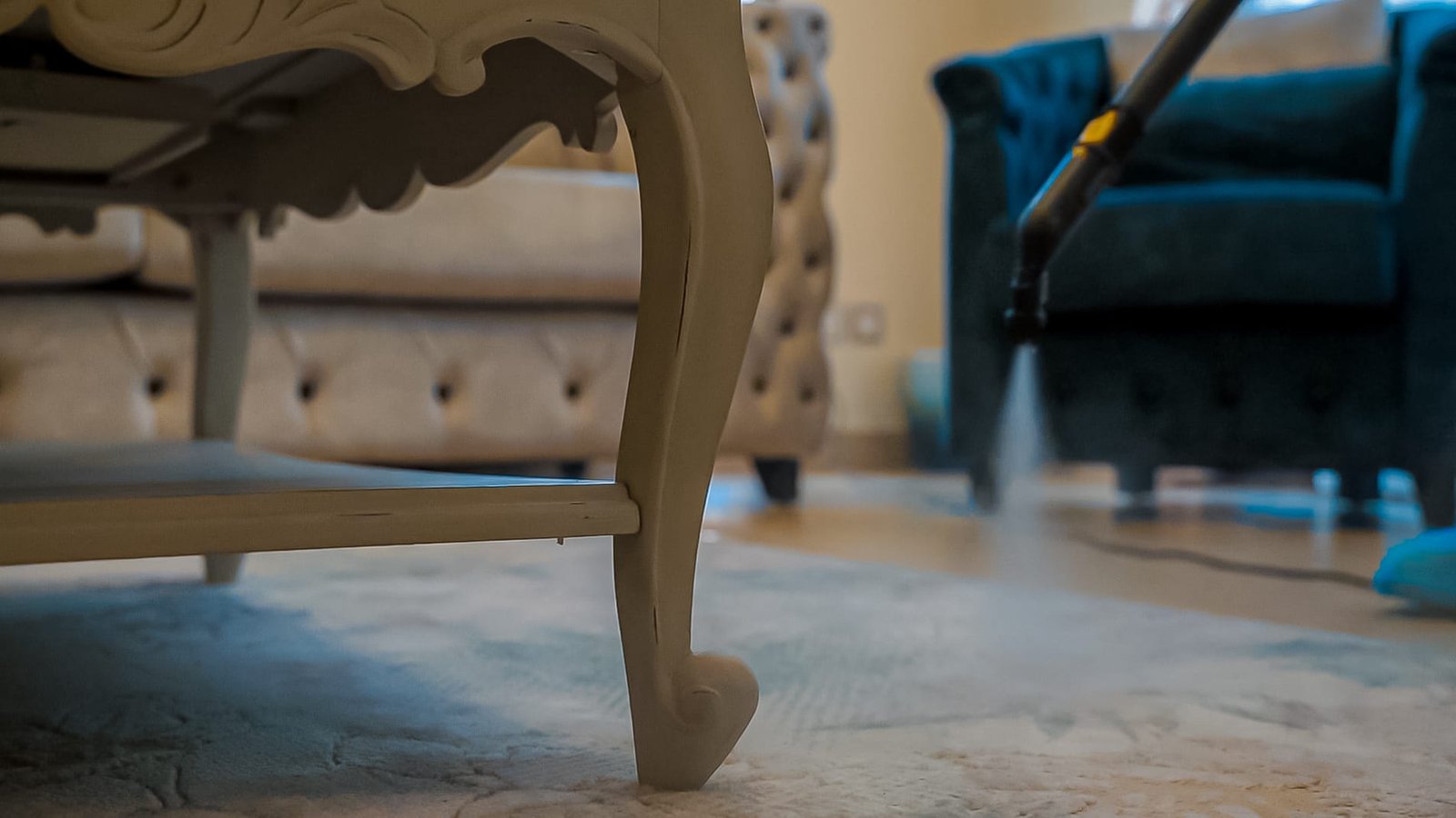 Pest Control Services