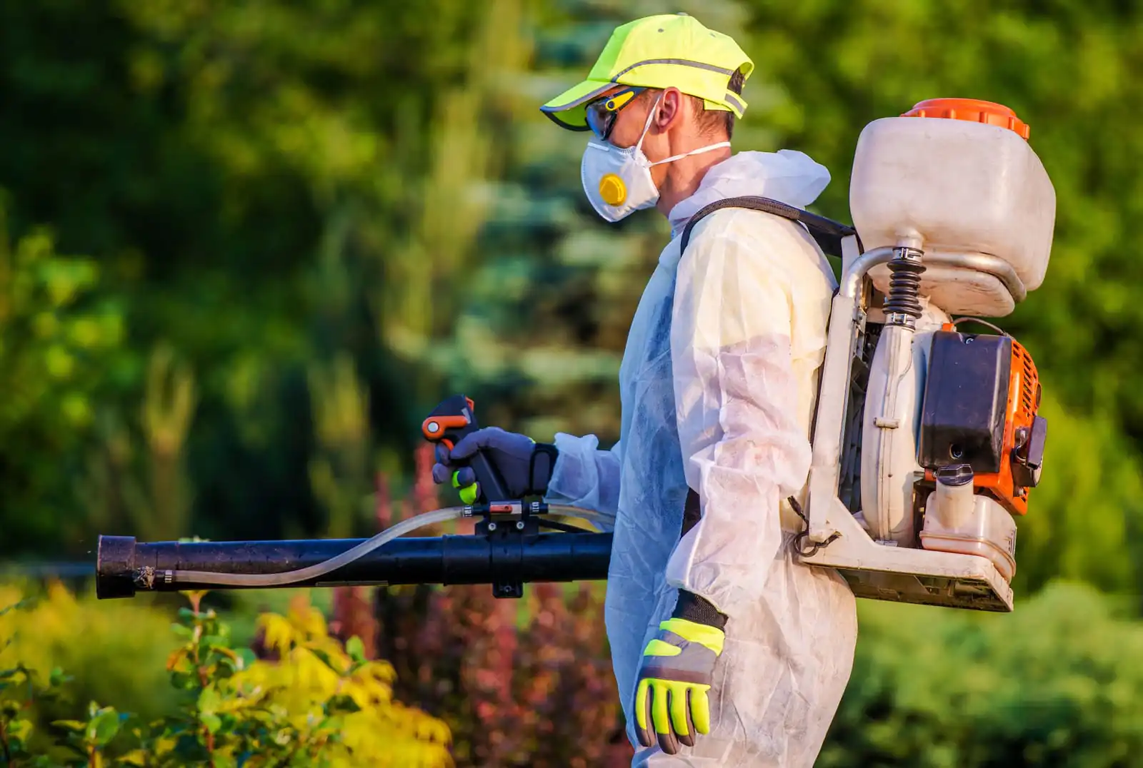 Bird Control Service 1 Bird Control Service