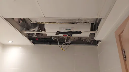 Home 29 Photo from customer review